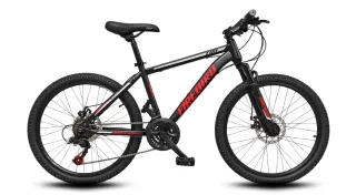 Firebird · Fire · Rodado 24 · 21 velocidades