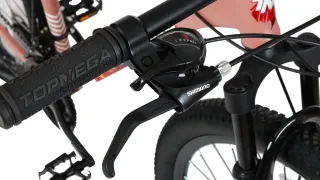 Topmega · Flamingo · Rodado 29 · 21 velocidades