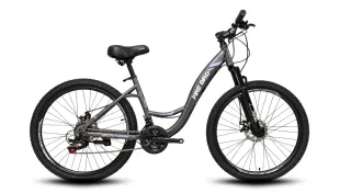 Firebird · Flying · Rodado 27 · 21 velocidades