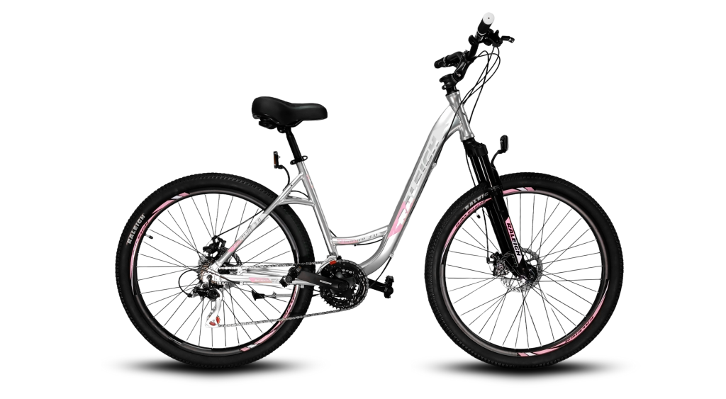 Raleigh Venture gris