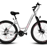 Raleigh Venture gris