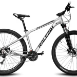 Raleigh Mojave 4.5 Rodado 29 24 hidraulico