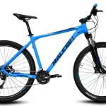 Raleigh Mojave 4.5 Rodado 29 24 hidraulico