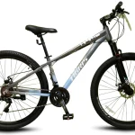 Bicicleta MTB Tigris Rodado 29 - 21 velocidades