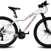 Bicicleta MTB Topmega Flamingo - 21 velocidades