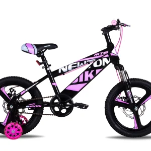 Newton Magness Rodado 16 1 velocidades