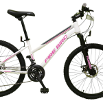 Bicicleta MTB FireBird Turbo Rod 24 - 21 Vel